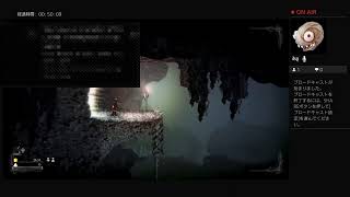 [Salt and sanctuary] ゆったり実況プレイ