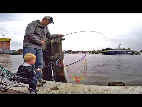 Bank fishing for catfish with worms. Catfishing tips: catfish bait, rigs and how to find catfish.
