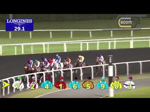 18.12.2013 Meydan (Dubai-UAE) 4.Race The Garhoud Sprint - Conditions  1.200 m