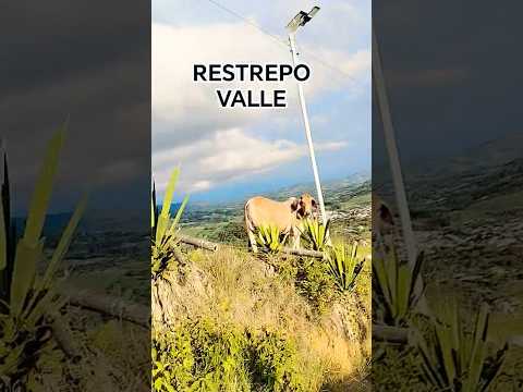 Me encanta el verde de la naturaleza y el azul del cielo restrepo Valle pueblito de mis cuitas 🇨🇴 💟