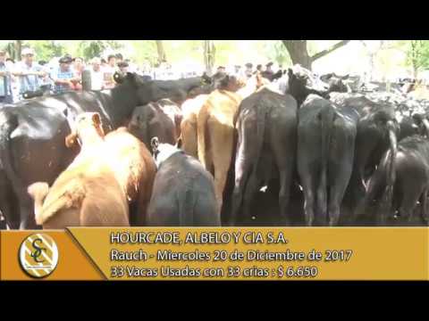 20-12-17 Venta de Vientres - Hourcade, Albelo y Cia S.A. - Rauch.