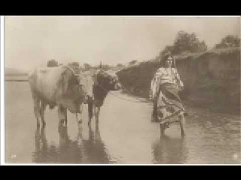 Doina Oltului / Olt river song