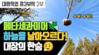 대장의 한숨 