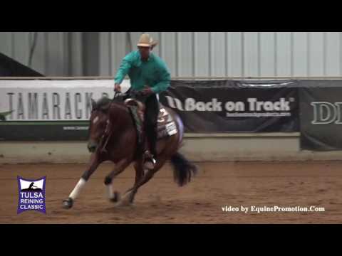 Criminal Intentions ridden by Matthew Mills  - 2016 Tulsa Reining Classic (Open - Show 1)