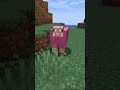 this minecraft sheep is very rare