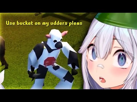 Vei's Old School RuneScape Experience