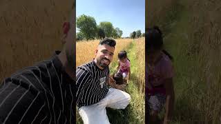 Do u wish for this life ⚓️🚢 #shiplife #cruiseshipjobs #viralshorts #sailing_twins