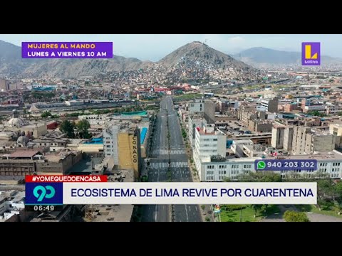 Ecosistema de Lima revive gracias a la cuarentena por coronavirus