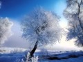Алсу "Зимний сон" на Английском(Alsou - Winter Dream) 