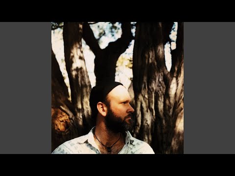 Little Bird - Eric Bachmann