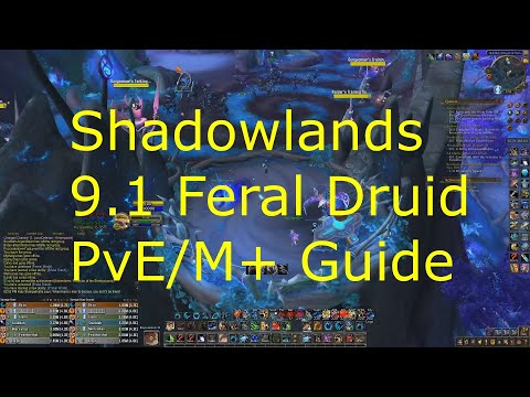 My Shadowlands 9.1.5 Feral Druid Guide for PvE/M+! - Improve your Burst and DPS NOW!!