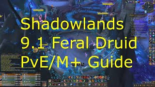 My Shadowlands 915 Feral Druid Guide for PvE/M+! -