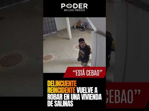 Delincuente reincidente vuelve a robar en una vivienda de Salinas