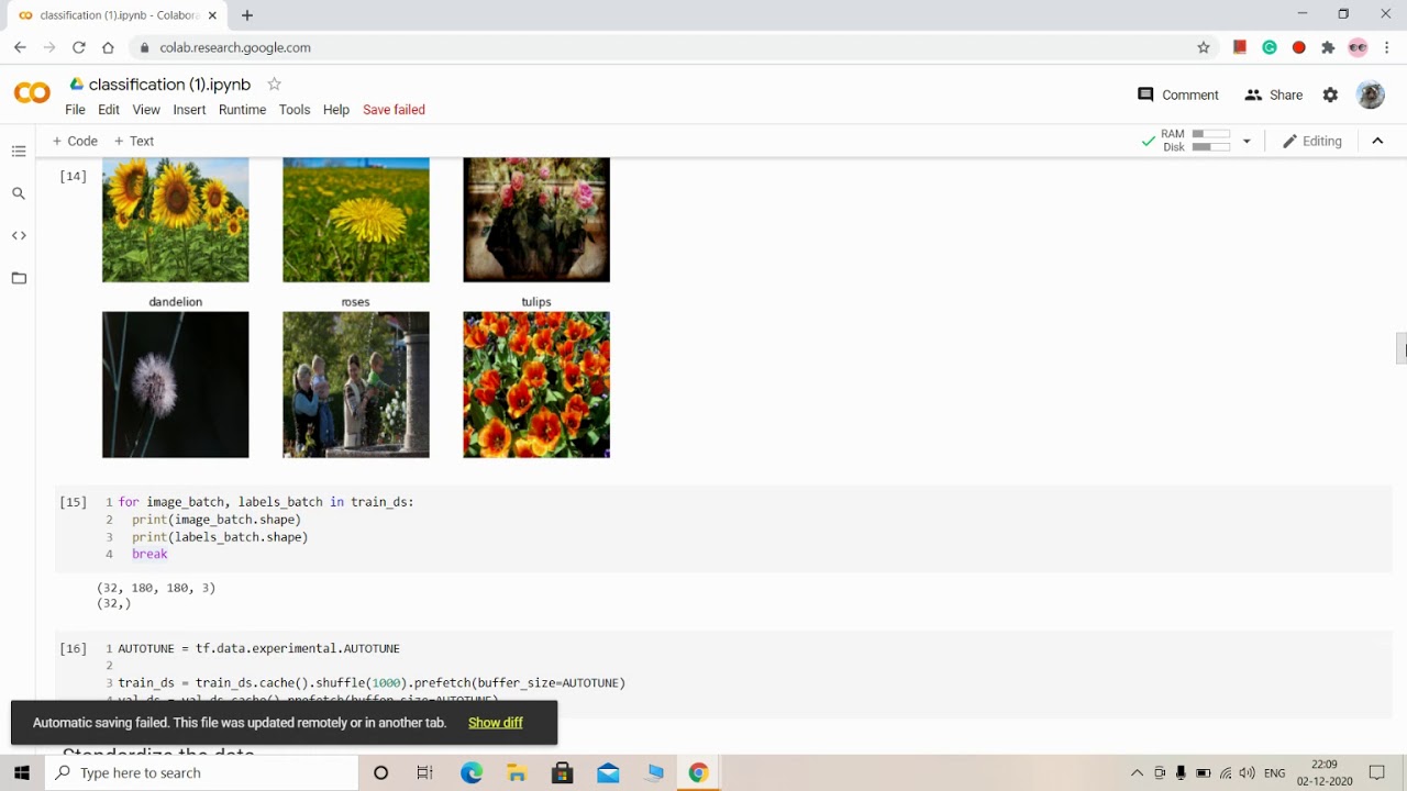 Image classification with Python : Project on Machine learning