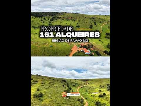 EXCELENTE PROPRIEDADE 161 ALQUEIRES REGIÃO DE PAVÃO-MG R$ 12.880.000,00 #gado #fazenda #agro #luxo