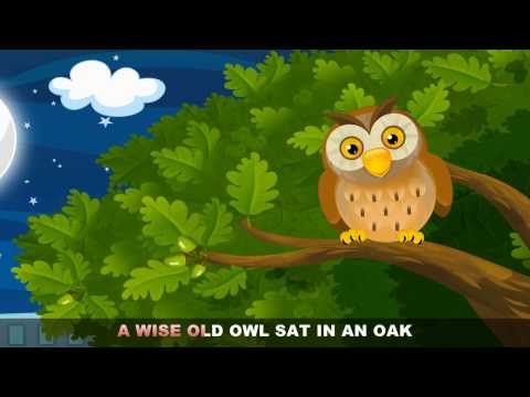 A Wise Old Owl with lyrics - Nursery Rhymes by EFlashApps