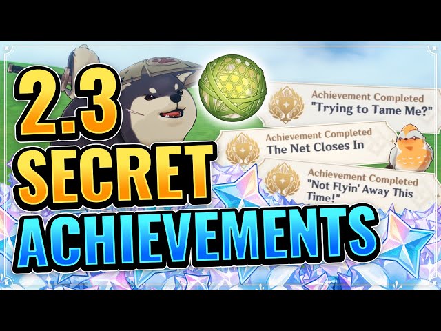 How to get the OmniUbiquity Net in Genshin Impact