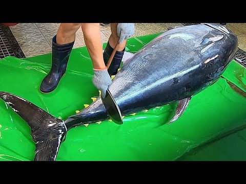 World's Sharpest Knife vs. 600lb Giant Bluefin Tuna: Masterful Sashimi Cutting!