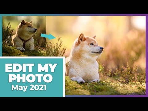 Edit My Photo - May 2021