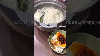 節約生活1日目　#youtube始めました #日常 #日常vlog #vlog #節約 #犬のいる暮らし #節約レシピ