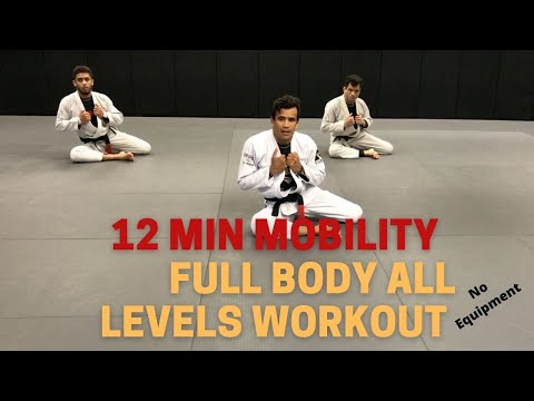 12 Min Mobility Full Body All levels Workout | No Equipments | Cobrinha BJJ