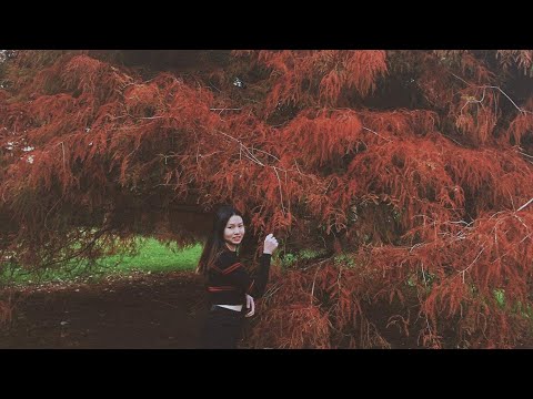 Mùa thu tình yêu Sheet - Dzoãn Minh