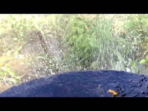 தெக்கி அடிக்குது.. காத்து. Flute #@settai_single_sami