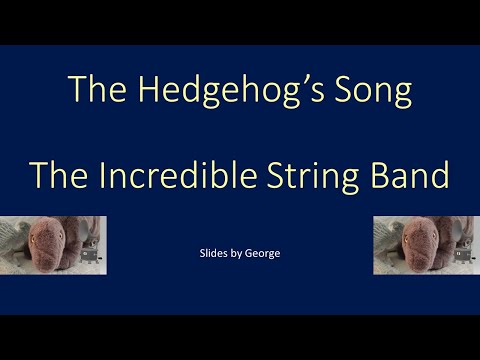 The Hedgehogs Song - The Incredible String Band