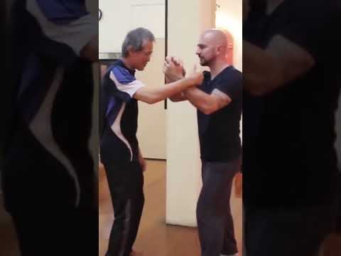 Shaolin Kung Fu Master demonstra incrível poder interno ao socar