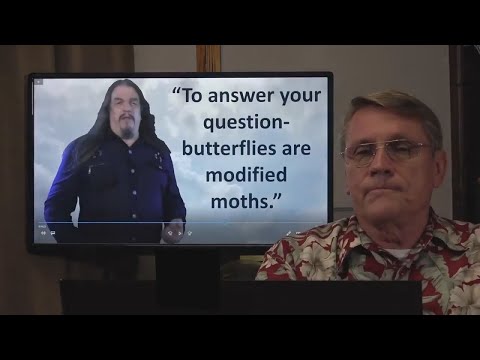 Butterfly Evolution for a Dummy