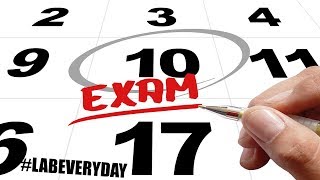 What I.T. certifications matter most? Part 2 and Let's talk about my java exam cram plan!