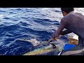 Paano Manghuli Ng Yellowfin Tuna Traditional Handline Fishing