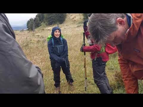 Alto del Toro hike 02, valley and upwards, Explora Patagonia, Torres del Paine, Chile, 2019-01-29