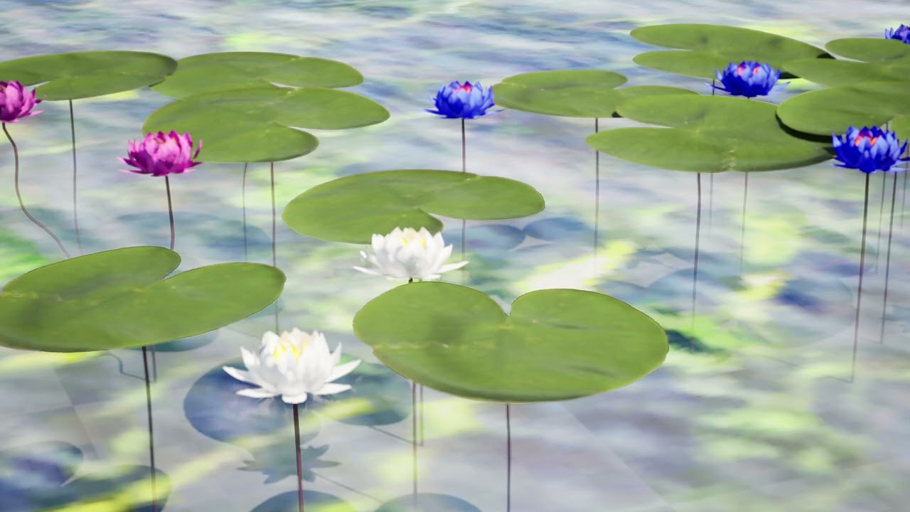 Water Lily Collection 3D Model