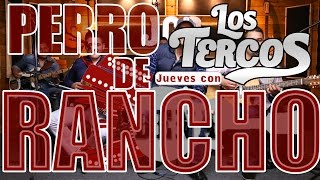 PERRO DE RANCHO (Los Tercos Ft. Elias Medina) Jueves con Cadena MUSICAL