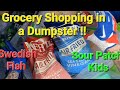 Grocery Shopping In A Dumpster Would You Do This The Employees Tossed All This Good Food