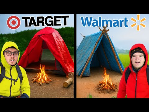 $100 Target vs Walmart Budget Survival Challenge