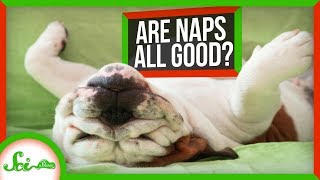 Napping Is Awesome... but Is It for Everyone?