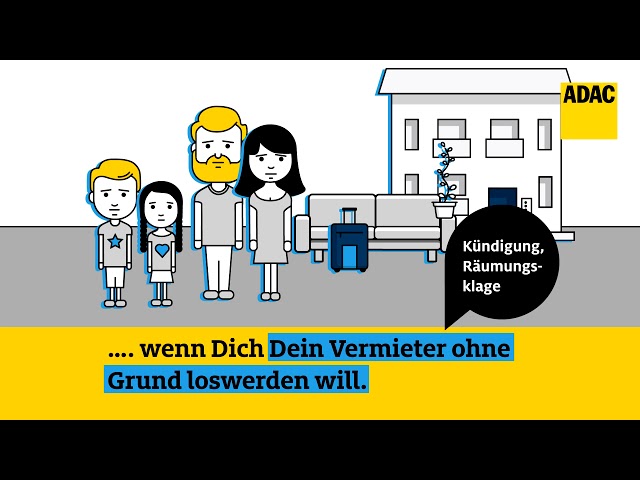 Video jetzt starten