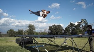 trampoline at the park