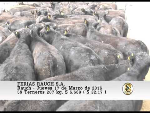 17-03-16 Ventas de Machos - Ferias Rauch S.A. - Rauch.