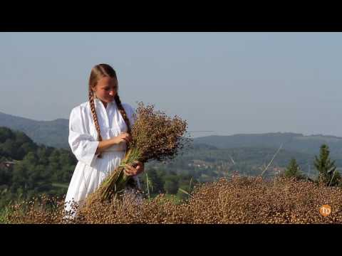 Preloški muzikanti - PRELOŠKI KOS