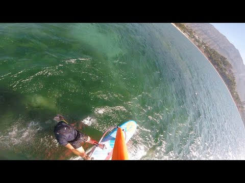 Goya Carrera 128 2023