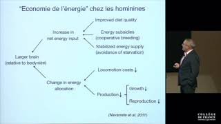 L'évolution énergétique humaine en 8min