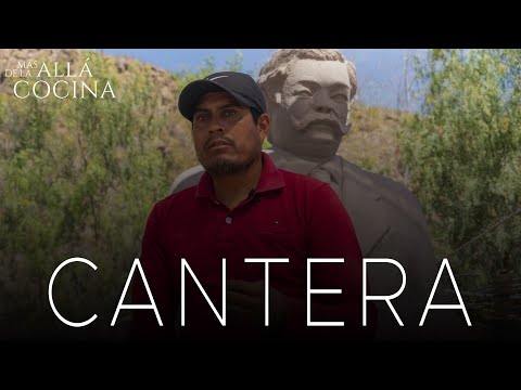 PINK QUARRY | WORK OF GENERATIONS | LADDERS | S.L.P