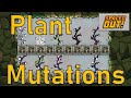 Oxygen Not Included Tutorial Bites Plant Mutations