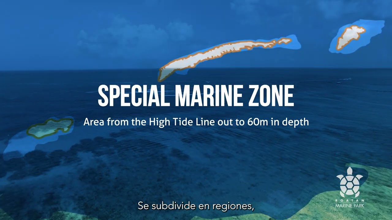 Management Plan & Zoning BINMP