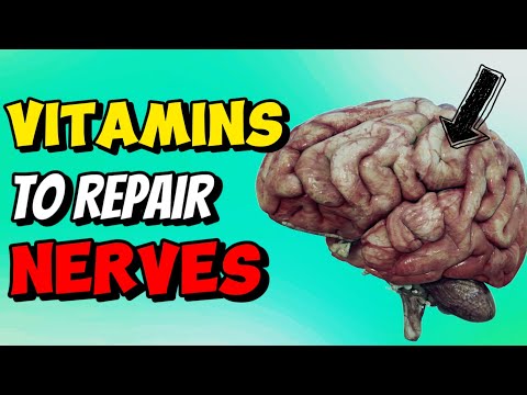 How to repair nerve damage? Best vitamins to nerves and brain health