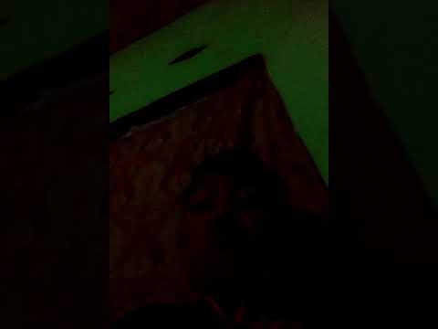 Galang Dwi hartawan  mempersembahkan nugelo budug