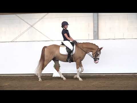 4j. Wallach v. Dreidimensional AT NRW